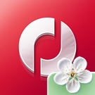 Программа для ЭВМ «Аспро: Оптимус - интернет-магазин». Лицензия (12 мес.)