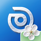 Программа для ЭВМ «Аспро: Шины и диски 2.0 - интернет-магазин». Лицензия (12 мес.)