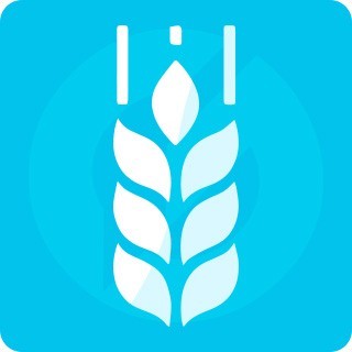 Программа для ЭВМ «G-tech: Корпоративный сайт компании, адаптивный». Лицензия (12 мес.)