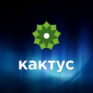 Программа для ЭВМ «Spectre: Интеграция фулфилментa «Кактус»». Лицензия (12 мес.)