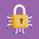Программа для ЭВМ «Доступ к сайту по IP». Лицензия (12 мес.)