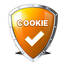 Программа для ЭВМ «Политика использования Cookie файлов». Лицензия (12 мес.)