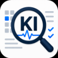 Программа для ЭВМ «KonyWeb Inspector — аудит и диагностика сайта». Лицензия (12 мес.)