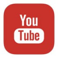 Программа для ЭВМ «YouTube галерея». Лицензия (12 мес.)
