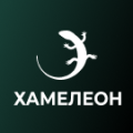 Программа для ЭВМ «ХАМЕЛЕОН — 999 в 1. Безлимитный конструктор лендингов с корзиной и функциями для «автоворонок»». Лицензия (12 мес.)