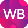 Программа для ЭВМ «Интеграция с Wildberries/Вайлдберриз через API: выгрузка товаров, обновление цен и остатков, заказы». Лицензия (12 мес.)
