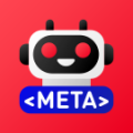 Программа для ЭВМ «Метатег Robots и X-Robots-Tag». Лицензия (12 мес.)